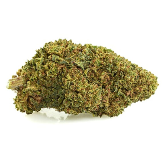 1-GG4-cbd-boost-small-cbd-buds-600x600-1.jpg Cvjetovi konoplje – White Widow CBD 18% Boost/Normal  1g – 100g