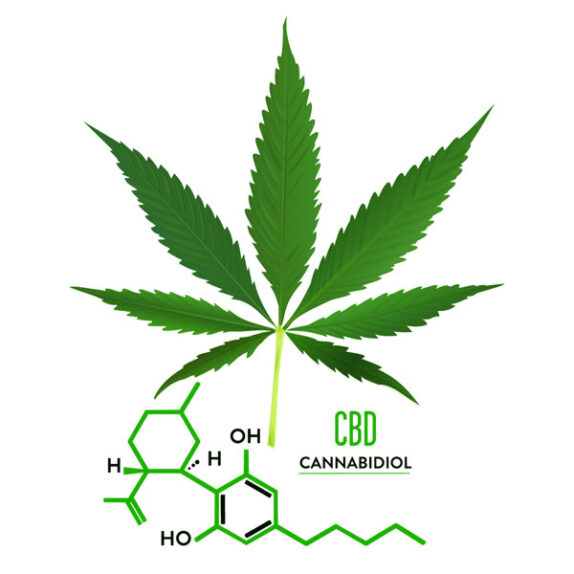 2 CBD Hash LEBANESE CBD 25% 1g - 100g