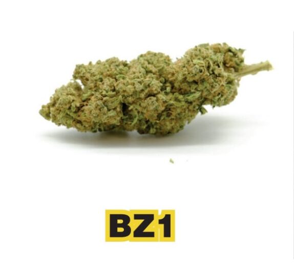 Cvjetovi konoplje - BZ1 CBD 12%  1g - 100g
