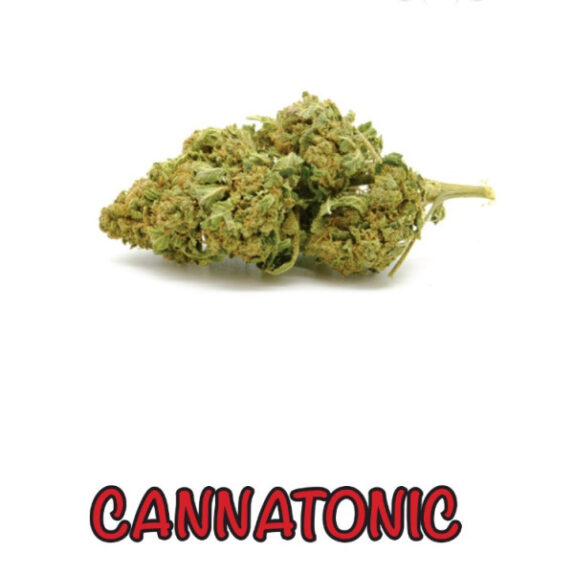 Canatonic Cvjetovi konoplje – CANNATONIC CBD 16%  Boost/Normal/Small  Buds  1g – 200g