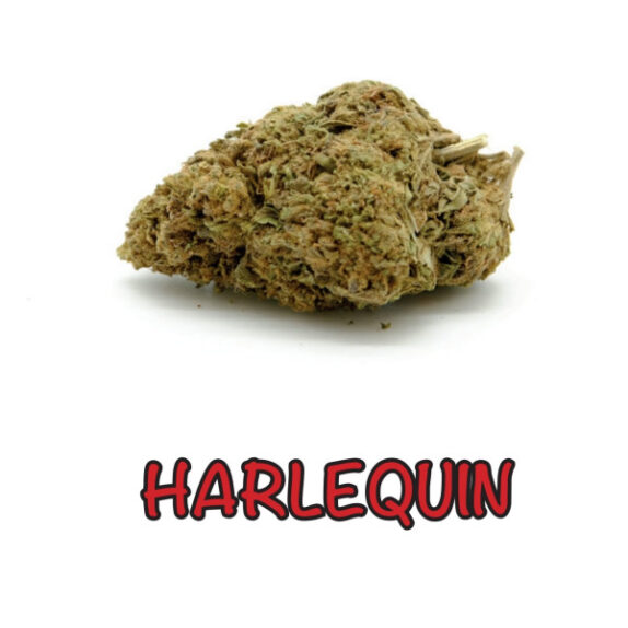 Harlequen Cvjetovi konoplje - Harlequin CBD 13%  1g - 100g