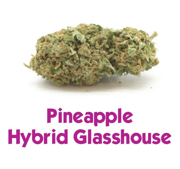 Pinapple Cvijetovi konoplje – PineApple CBD 13%  Small/Normal Buds 1g – 200g