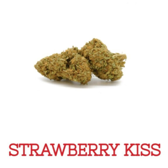 strawberry Cvijetovi konoplje – STRAWBERRY CBD 22% Small/Normal Buds 1g – 200g