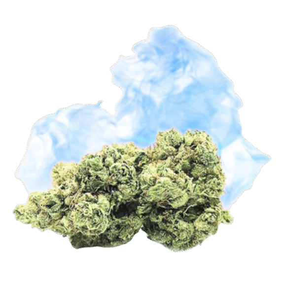 therapy boost Cvjetovi konoplje - CANNATONIC Boost  CBD+CBG  40% 1g - 100g