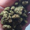 IMG_20260605_105534 Cvjetovi konoplje – Lemon Haze CBD 15% Normal/Small Buds 1g – 200g