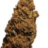 Cvjetovi konoplje – Lemon Haze CBD 15%  Normal/Small  Buds  1g – 200g
