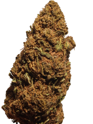 Cvjetovi konoplje – Lemon Haze CBD 15%  Normal/Small  Buds  1g – 200g