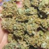 Cvjetovi konoplje – White Widow CBD 18% Small Buds   1g – 100g