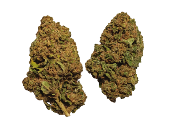 Cvjetovi konoplje – White Widow CBD 18%    1g – 100g