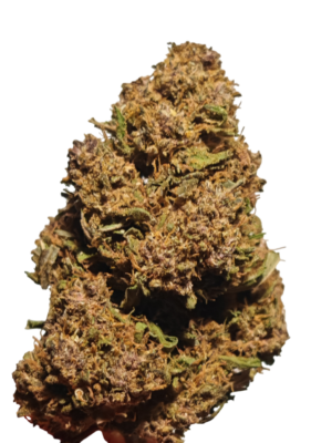 Cvjetovi konoplje – Amnesia CBD 15%  Normal/Small  Buds  1g – 200g