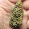 Cvjetovi konoplje – Amnesia CBD 15%  Normal/Small  Buds  1g – 200g