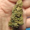 IMG_20260605_120345 Cvjetovi konoplje – Amnesia CBD 15% Normal/Small Buds 1g – 200g