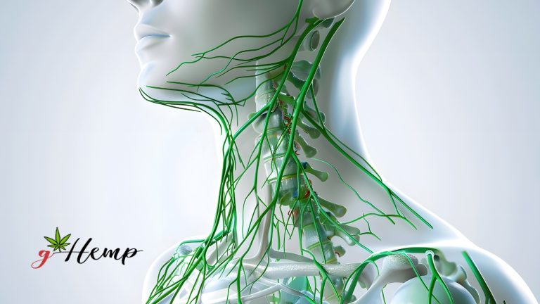 CBD i imunološki sustav