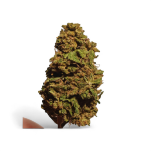 Cvjetovi konoplje – Remedy  CBD 14%    1g – 100g