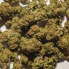 Cvjetovi konoplje – BZ1 CBD 12% Small Buds 1g – 100g