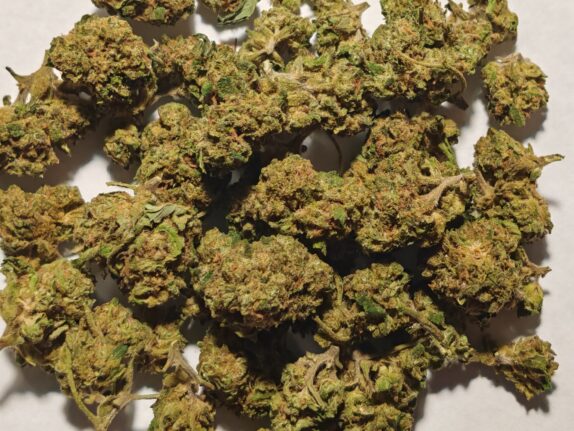 Cvjetovi konoplje – BZ1 CBD 12% Small Buds 1g – 100g