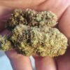 charlotte slika 3 Cvjetovi konoplje – Charlotte CBD 15% 1g – 100g