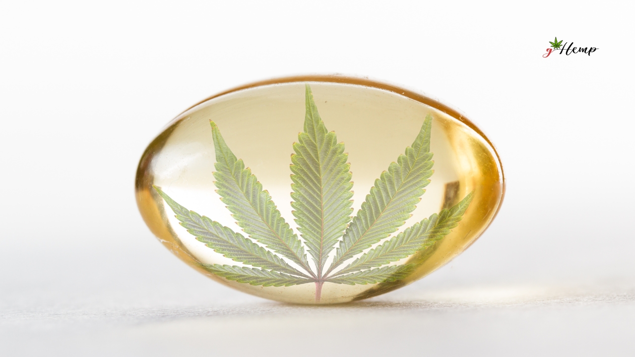 Povratak prirodi kao globalni trend u modernom zdravlju