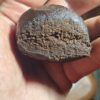 CBD Hash Alien OG  CBD 30%  1g - 100g